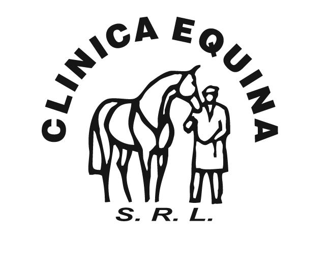 Logo ORIGINAL